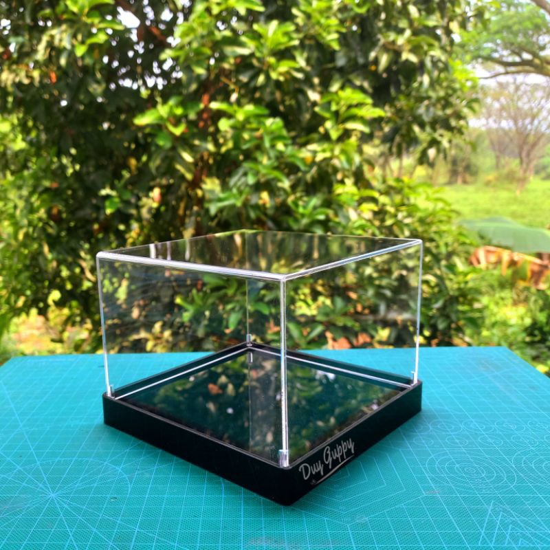 Acrylic Box/ Acrylic Display Box 15x15x10cm | Shopee Malaysia