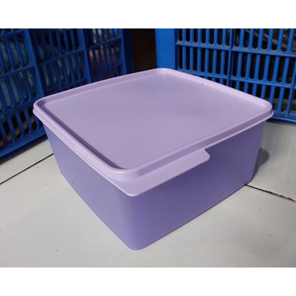 Tupperware Large Cozynest 2,5 Liter multi-purpose box (unit price ...