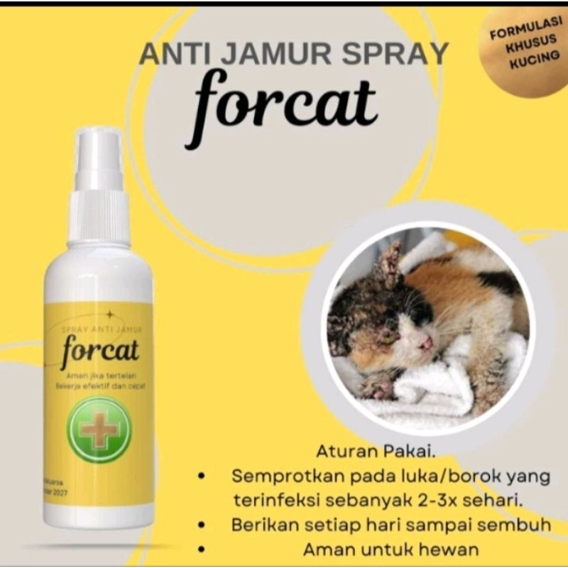 Forcat Cat Fungus Medicine 60ml Scabies Demodex ImpetigoFungal Fleas ...