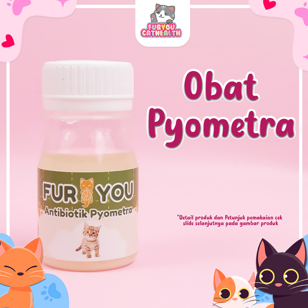 Furyou Pyometra Antibiotic Treatment Of Female Anabul Pyometra Powerful