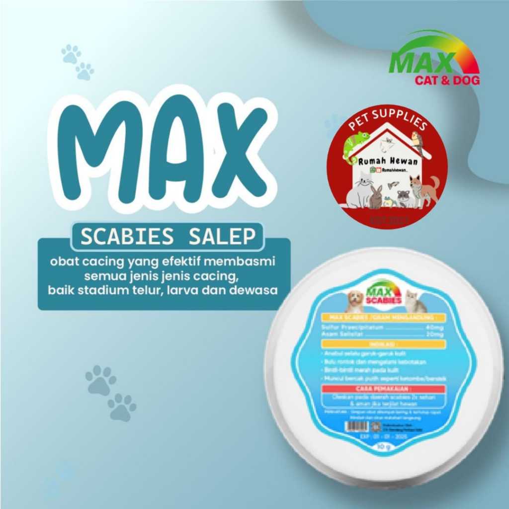 max-scabies-ointment-for-cat-skin-infection-to-treat-fungus-koreng