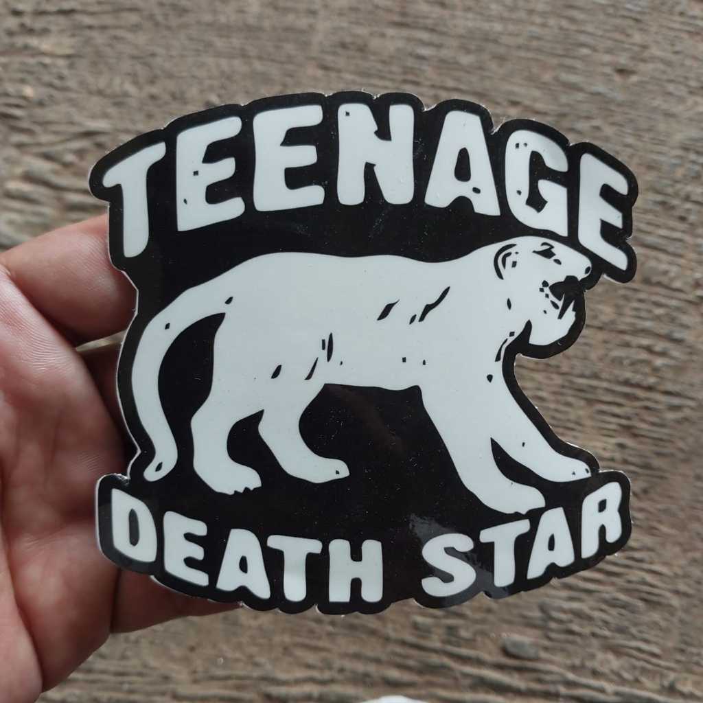 Teenage DEATH STAR BAND Sticker - Waterproof VINYL Helmet/Laptop ...