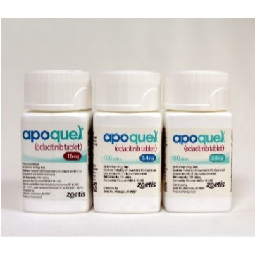 Apoquel - Anti Itching Medicine For Dogs/Animals (Tablet 3.6mg I 5.4mg ...