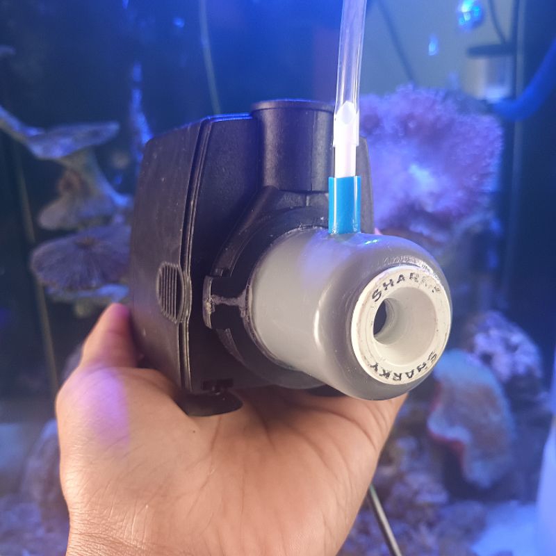 Modified Marine aquarium skimmer protein Pump kaps 350500ltr Shopee