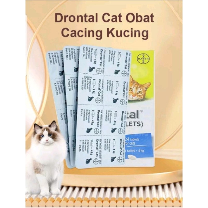 Drontal Cat Worm Medicine (1 Tablet) Shopee Malaysia