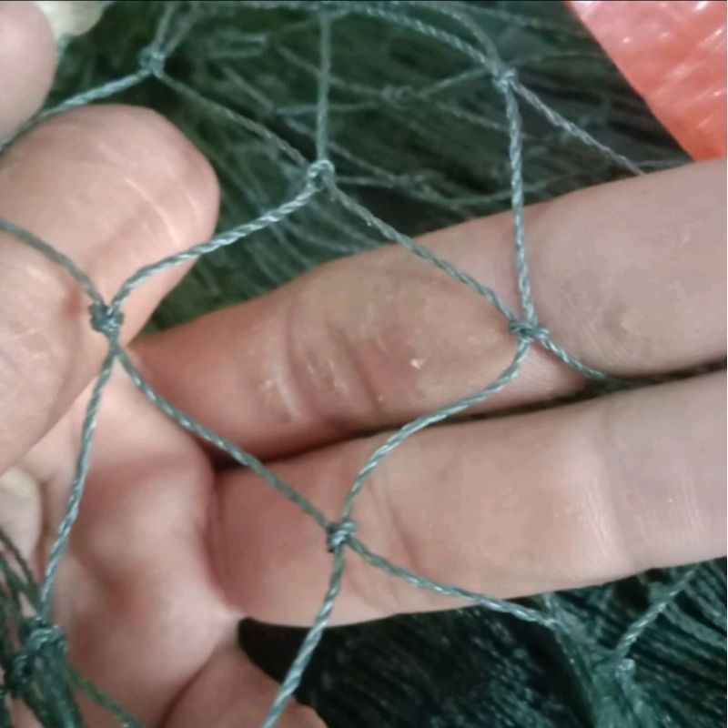 (1 ball) 2 inc net 100Md x 100yds (90mtr). fence net for chicken, duck ...
