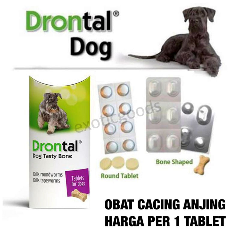 Drontal DOG 1 Grain Deworming Medicine DOG Deworming Medicine DOG