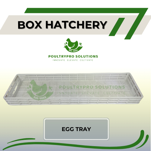 Hatchery Box | High Quality & Durable | Shopee Malaysia