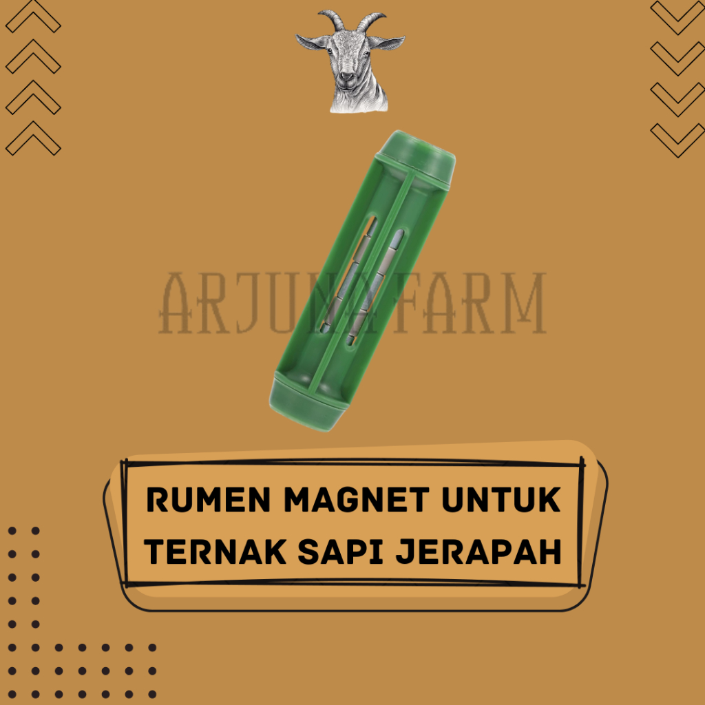 Rumen Magnet Cattle Removes Foreign Objects in the Stomach of Cattle ...