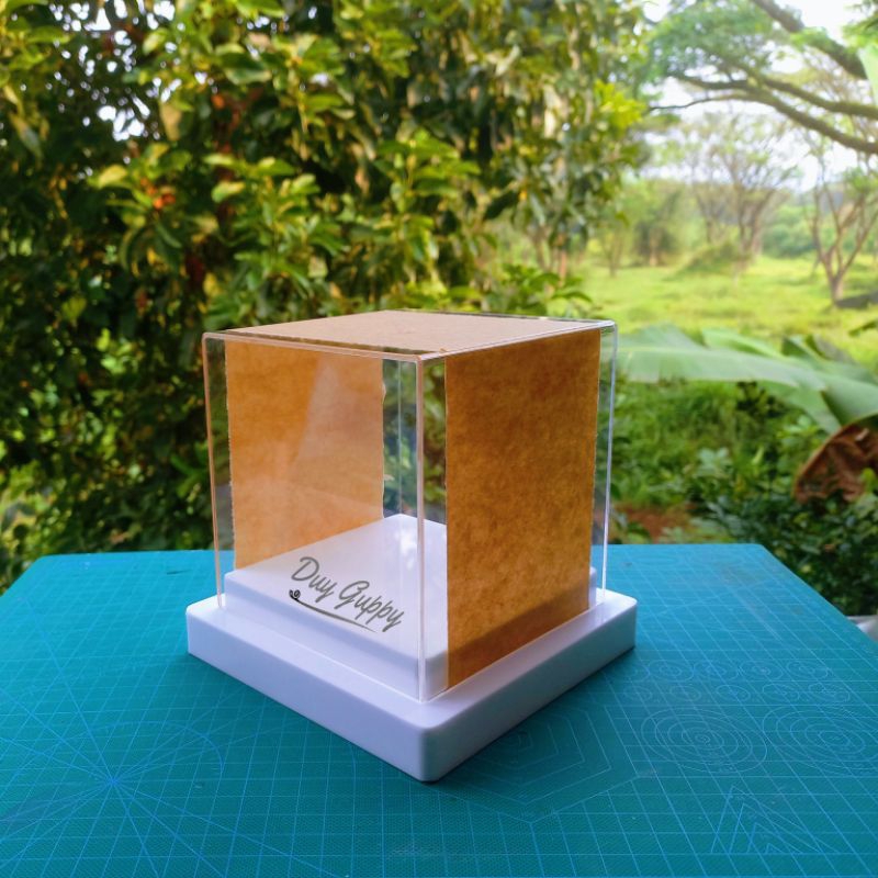 Acrylic dowry box/ display box 15x15x15cm stage base | Shopee Malaysia