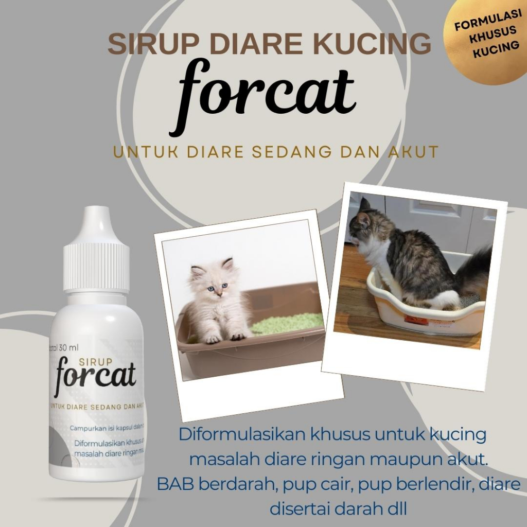 Forcat Cat Diarrhea Medicine Anti Mencret Medicine Blood Digestion Cat