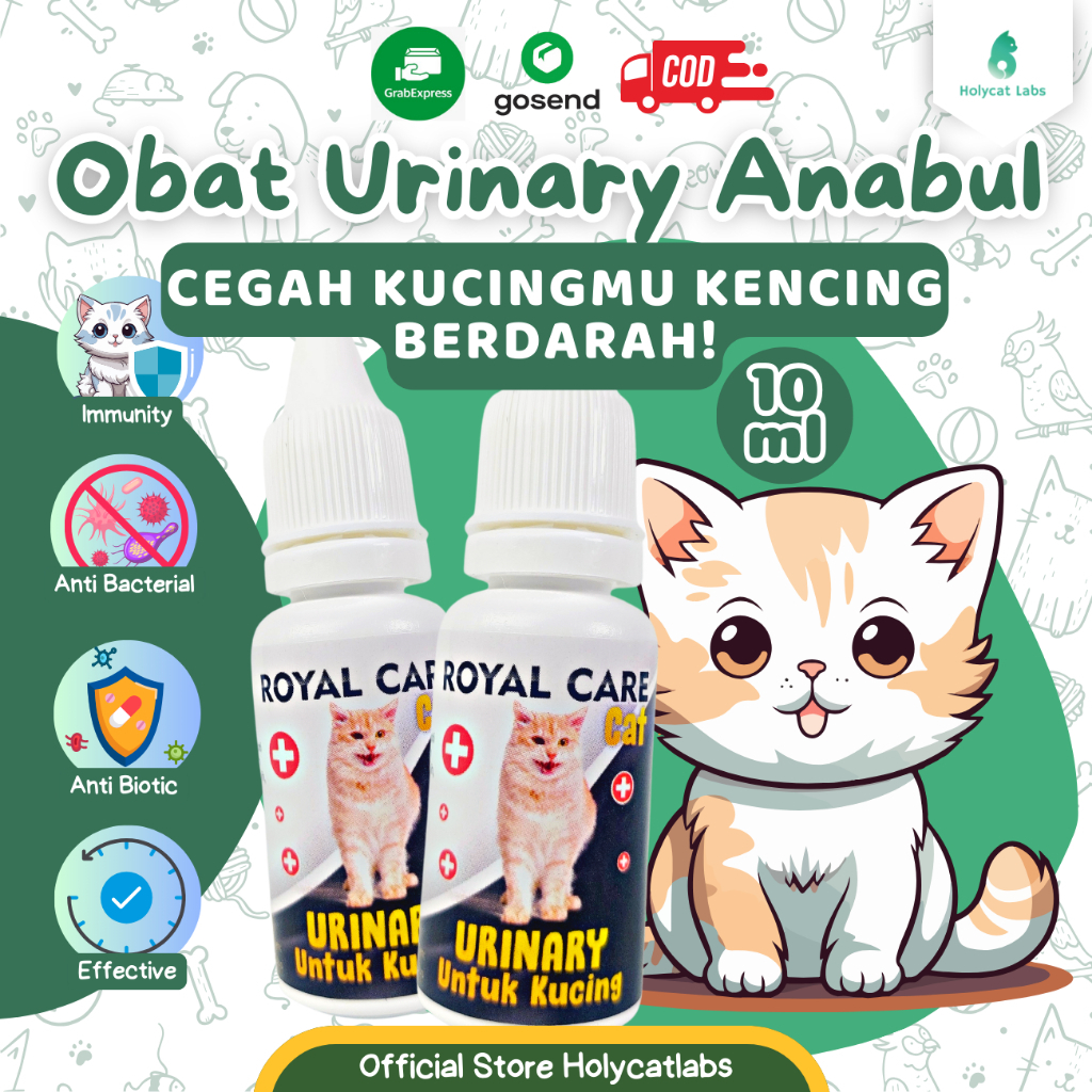 Royal Care Urinary Cat 10 ML - Cat Urinary Tract Pain Medicine SAFE FOR ... - Urinary Tract Challenges In Pregnant Female Cats