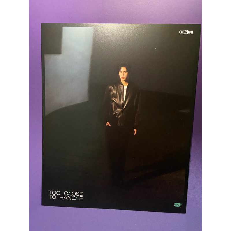 gmm gemini サイン入り ポラロイド gmm gemini サイン入り ポラロイド gmm gemini サイン入り