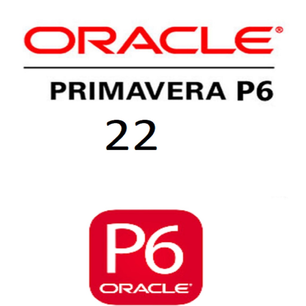 Primavera P6 Project Management Computer Software 19.12 x64 for windows ...