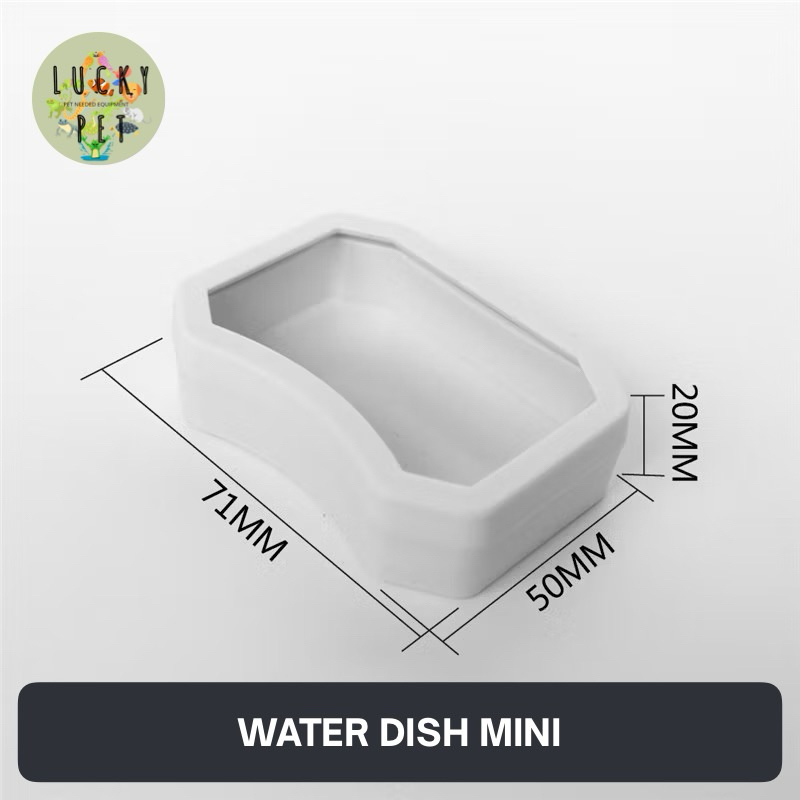 Place To Eat And Drink Reptile Caterpillar Container HONGKONG Germany