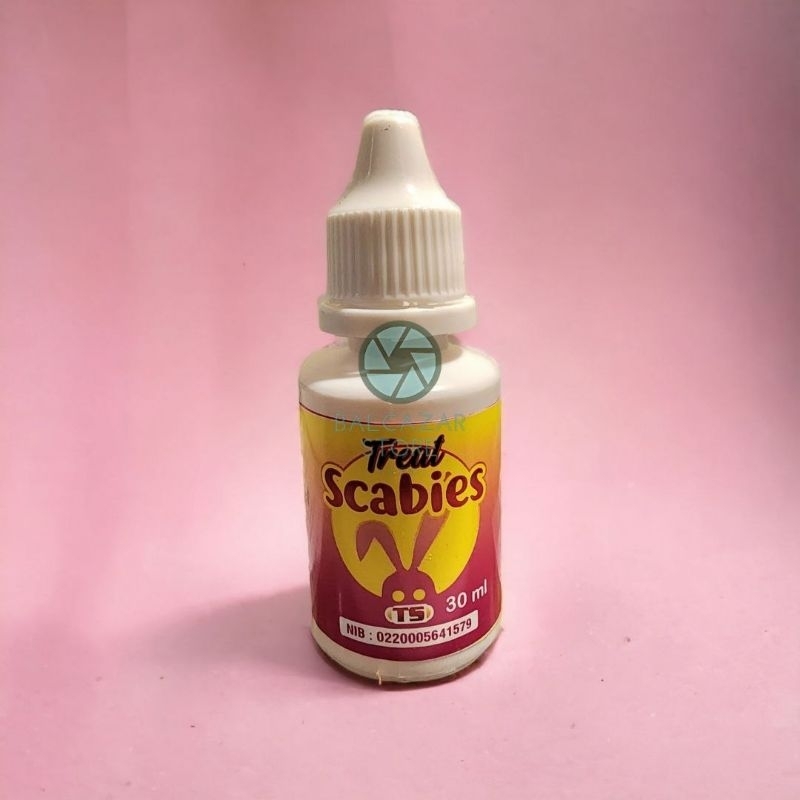 Scabies medicine for RABBITS / Cats / Dogs topical liquid ointment ...