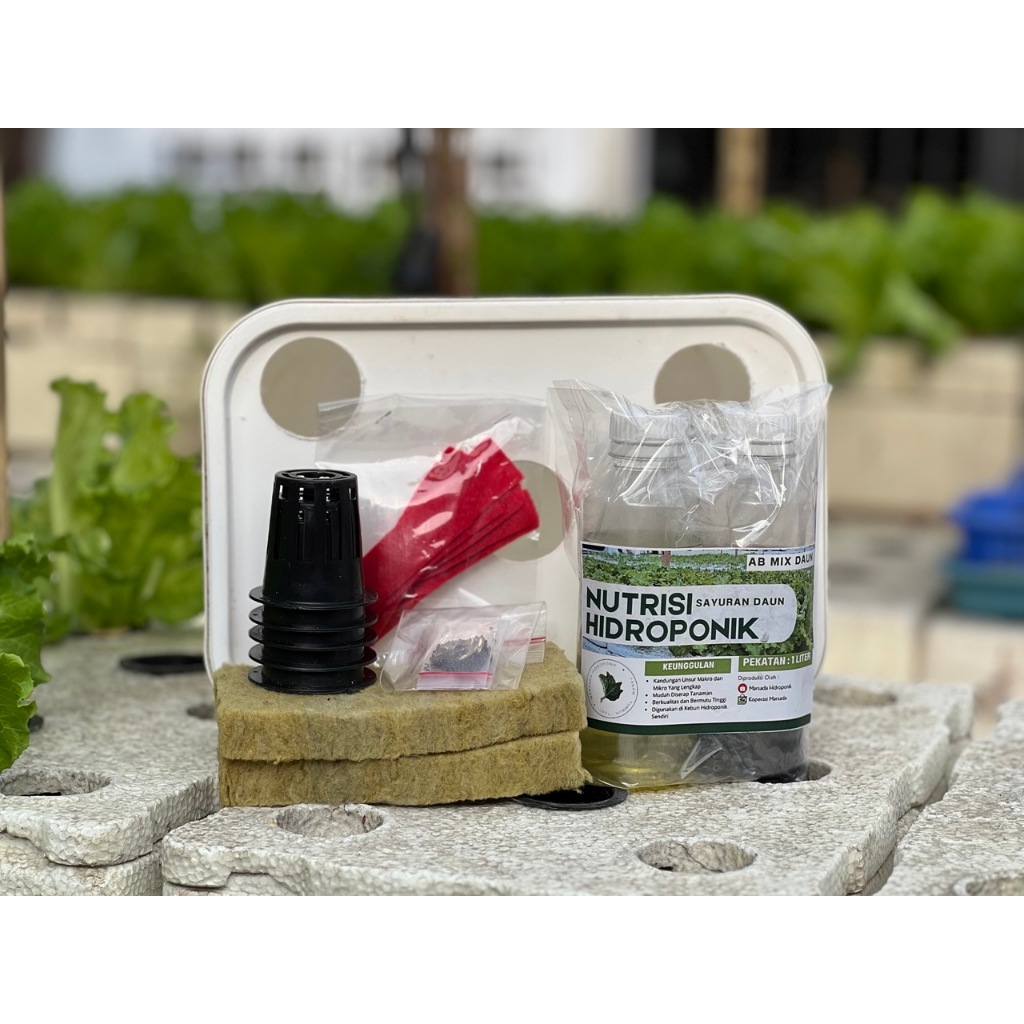 Best Indoor Gardening Kits for Year-Round Fresh Herbs