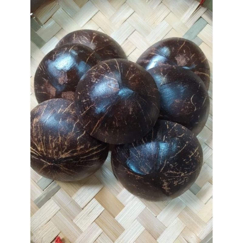 Coconut shells for dancing, dancing shells, craft shells of a pair of ...