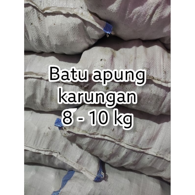 Pumice filter media Lumos/Pumice Stone/Pumice Eoe/koi filter media/Fish