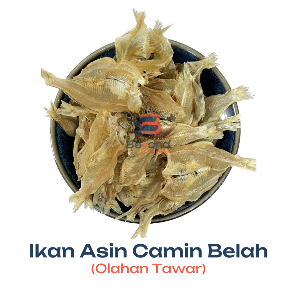 Salted Fish Camin Split White/Salted Fish Crackers (250Gr) | Shopee ...