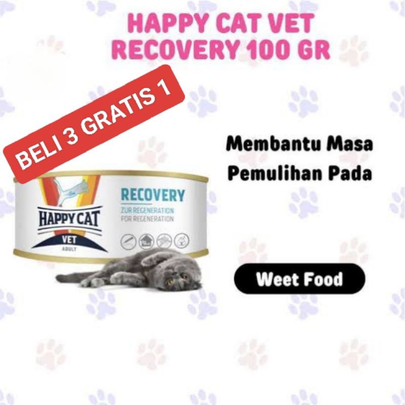 Happy Cat Vet Recovery 100gr Food For Sick Cats (buy 3 Get 1 free ...