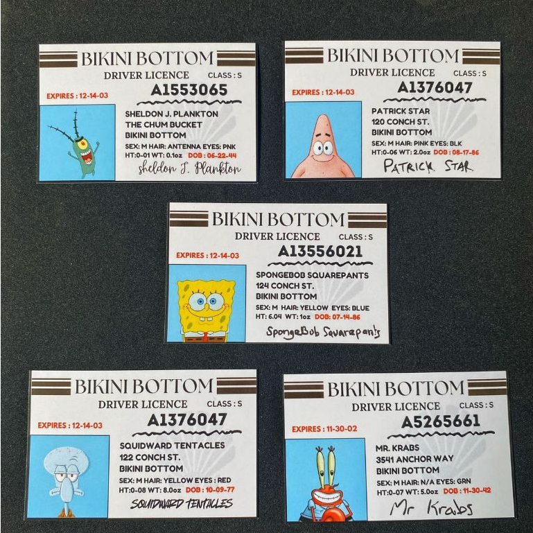 Bikini Bottom Driving License Spongebob Novelty Fake Replica ID Card ...