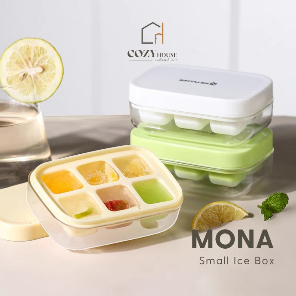 Small ice shops box with freezer