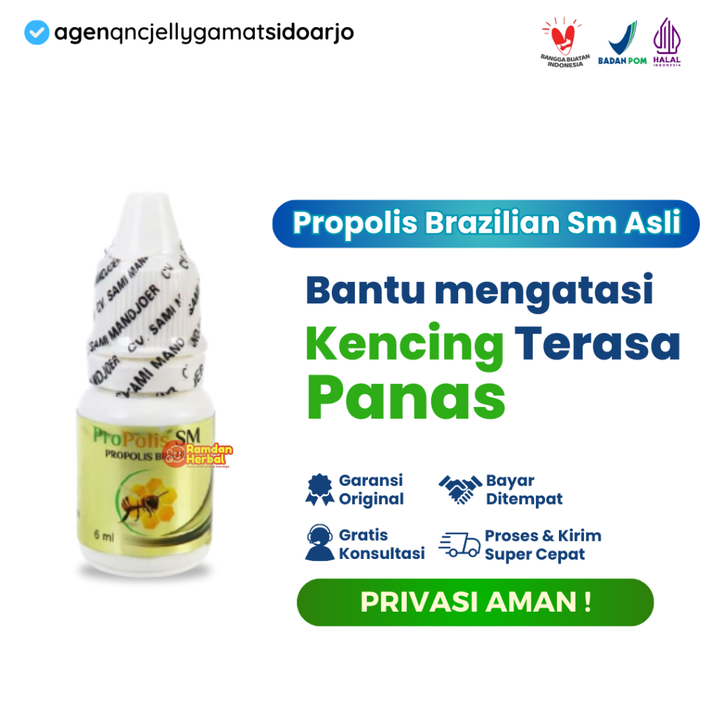 Propolis SM Medicine for Urinary Feels Hot UTI Urinary Tract Infection ...