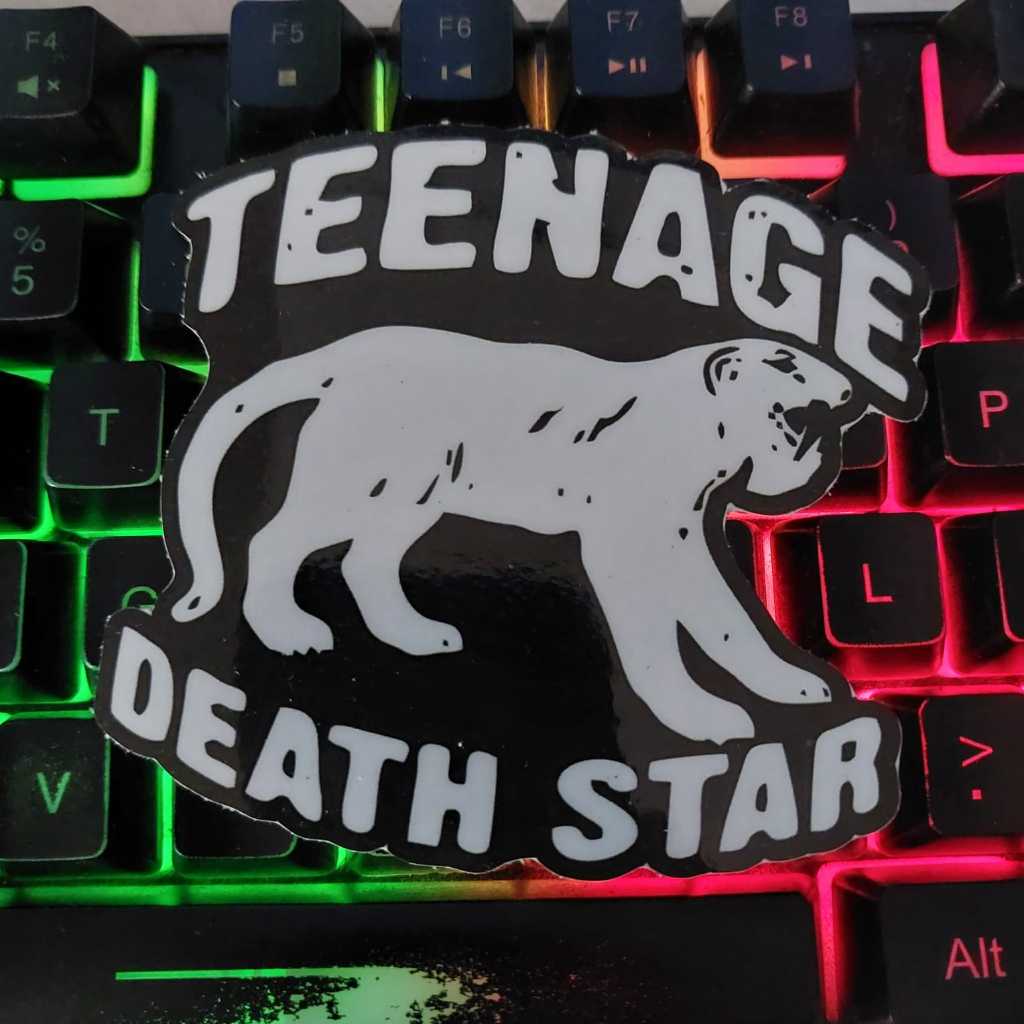 Teenage DEATH STAR BAND Sticker - Waterproof VINYL Sticker Helmet ...