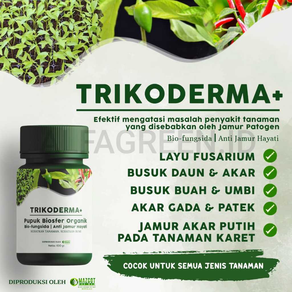 TRIKODERMA FERTILIZER BUY 3 GET 1 FREE!!! ALFAGREEN-Bio-Fungicide ...