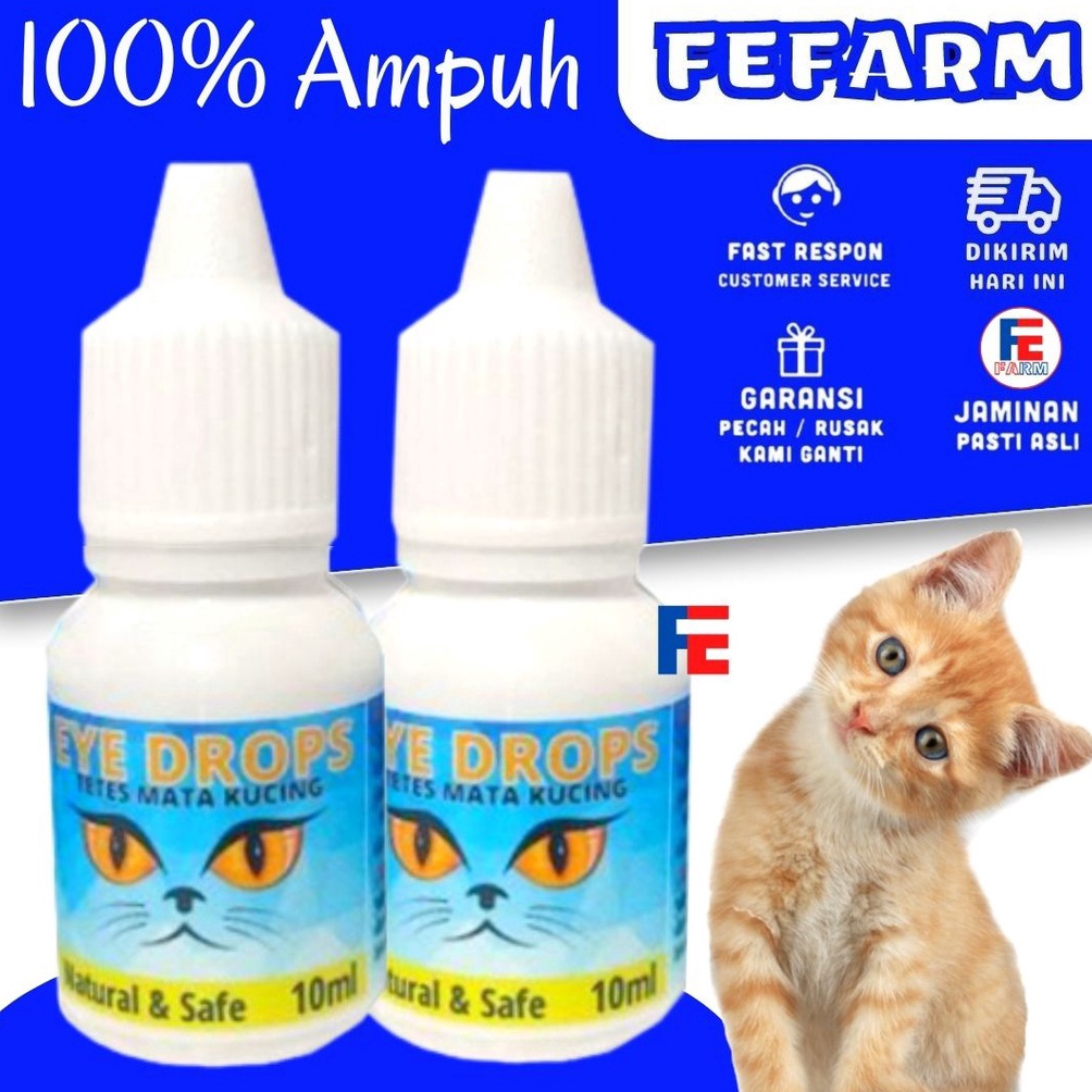 MATA Medicine For Cat Rabbit Dog Eye Drops, Eye Irritation, Belekan Eye ...