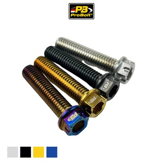 Original Pro-Blot Bolts Size 10/M6 Universal Suitable For Motorcycle ...