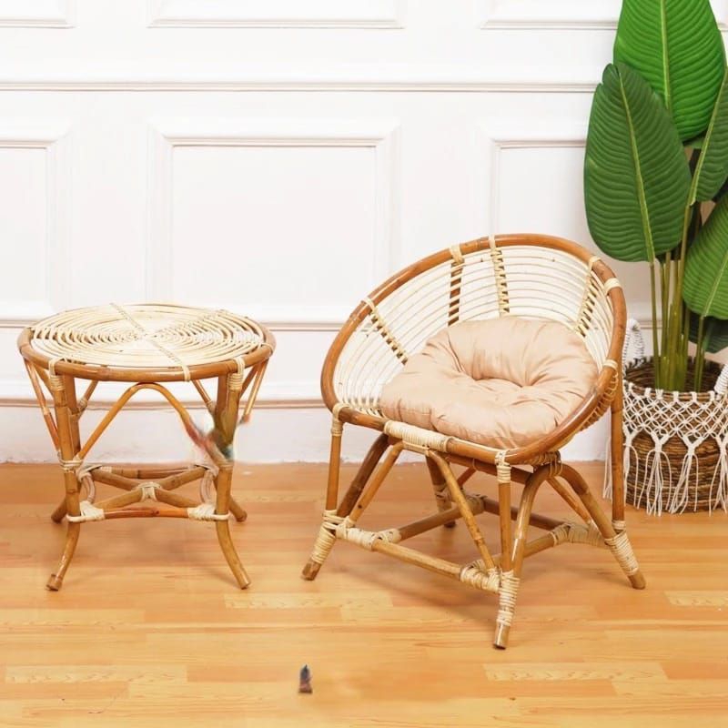Rattan Shell Model Patio Chair Free Pillow/Rattan Conch Bentul Seating ...