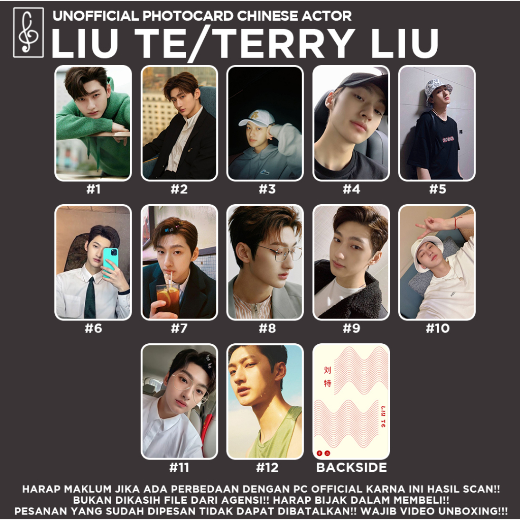 [CHINESE Actor] TERRY LIU TE FANMADE PHOTOCARD | Shopee Malaysia