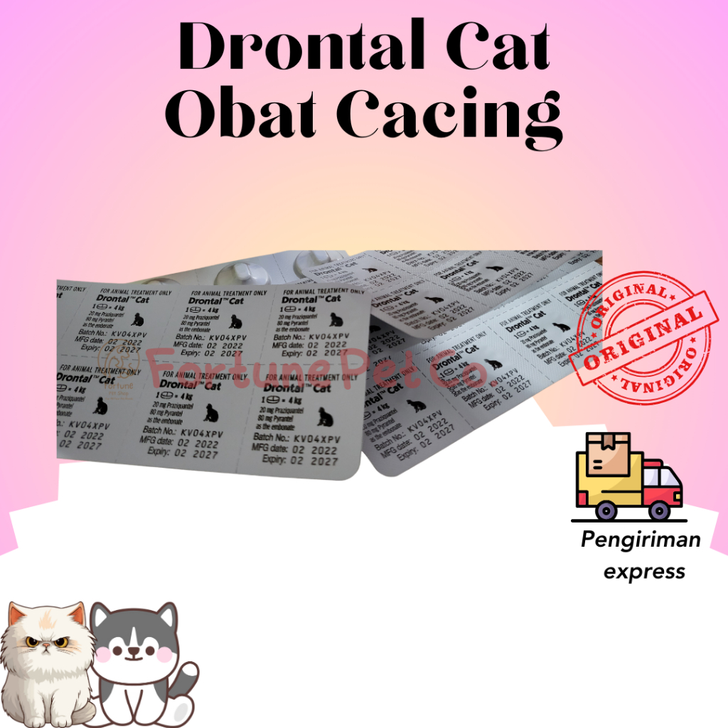 Drontal Cat (1 Tablet) Drontal Cat Worm Medicine Drontal Worm