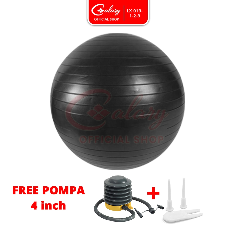 Speeds Gym Ball Yoga Size 85cm Original Sports 019 16 Shopee Malaysia