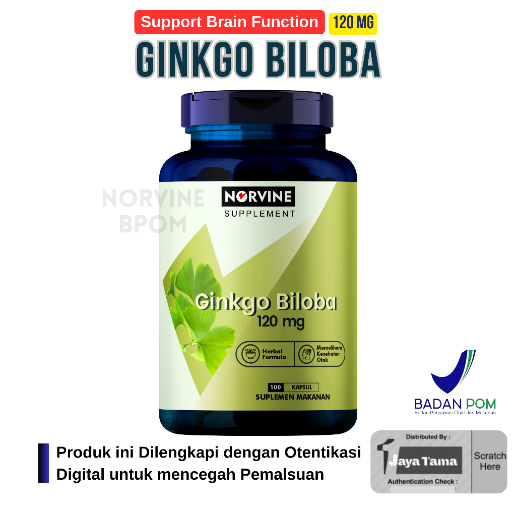Ginkgo Biloba 120mg Norvine USA Brain Vitamin Memory contains 100 ...