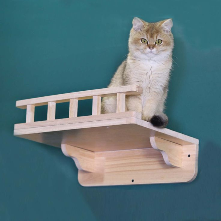 KAYU Cat playground, Cat steps, Cat stairs, teak wood fence | Shopee ...