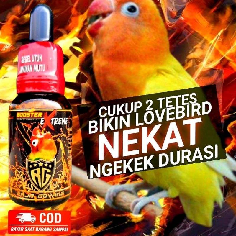 Lovebird Bird Vitamins Complete King Shake BOOSTER EXTREM DOPING LOVEBIRD High Dose Shopee