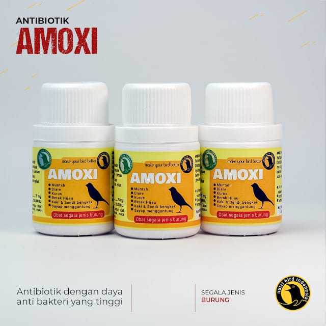 Amoxi Antibiotics For Birds With Lime Diarrhea And Digestive Problems