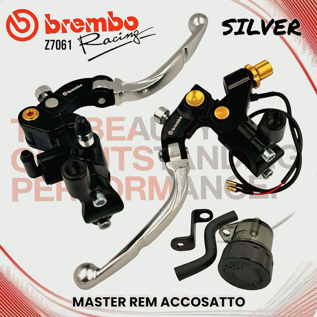 Brake Master PAIR Copy Accosato RCB S1 Master Brake Radial Tube Smoke ...