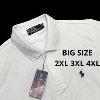 polo ralph lauren Prices and Promotions Nov 2025 Shopee Malaysia