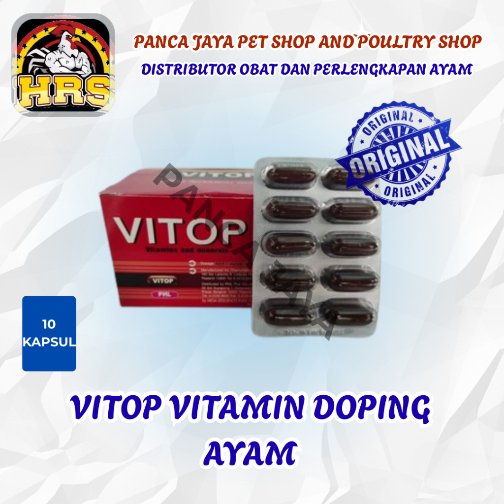 Vitop 1 Strip 10 Capsules Import Thailand Vitamin Doping Chicken ...