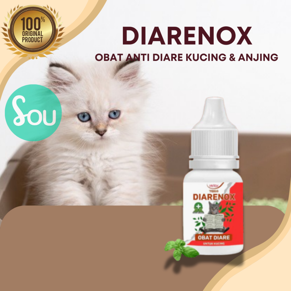 Kitten diarrhea medicine best sale