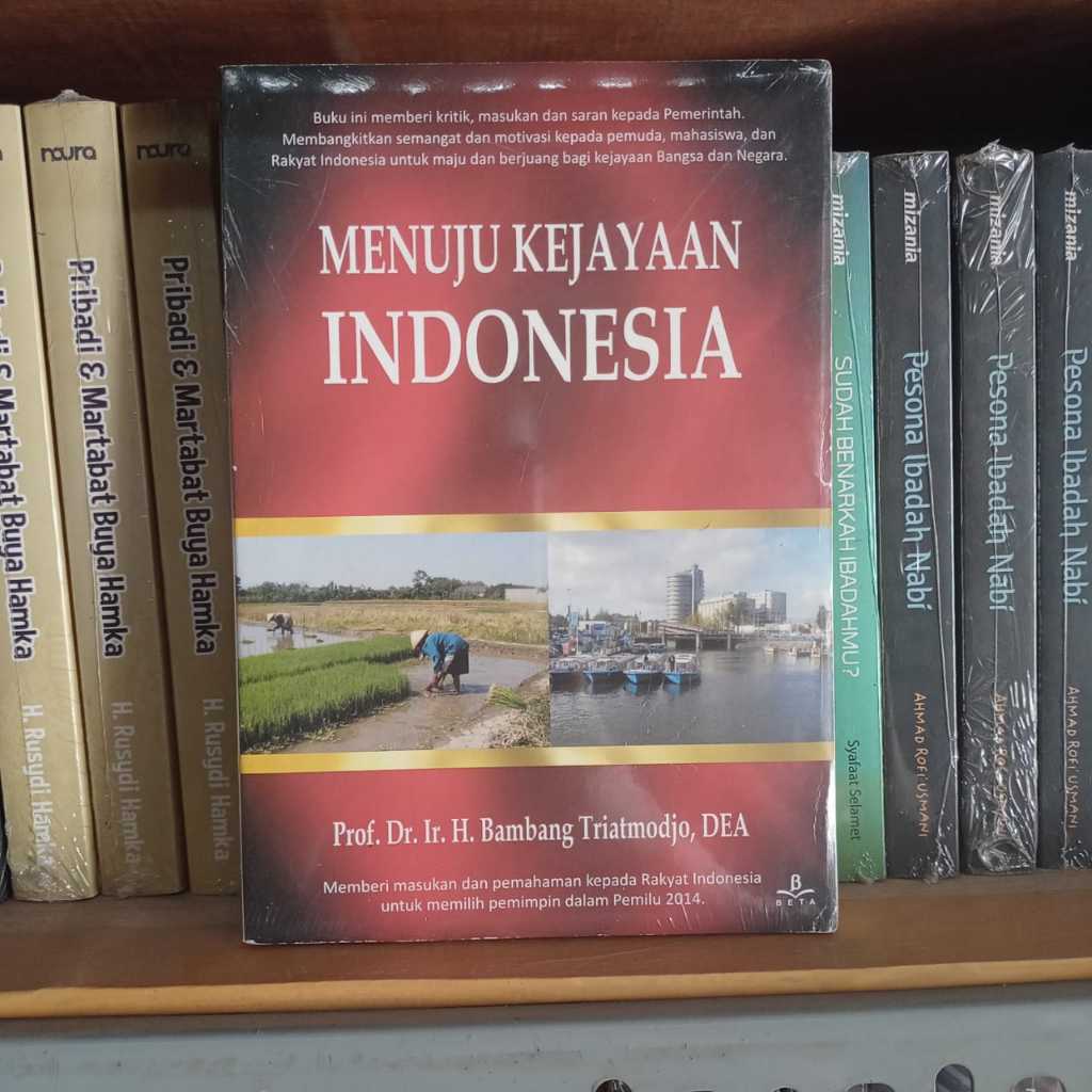 Book Towards Indonesian Success - Bambang Triat…