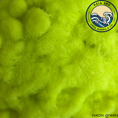 Velvet Flocking Powder Nylon Neon Green Decorative Powder (100g ...