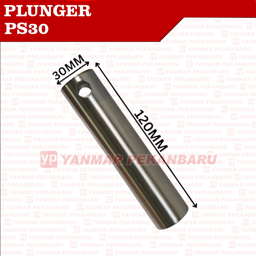 Ps30 PS 30 Piston Plunger Power Sprayer Sanchin China | Shopee Malaysia