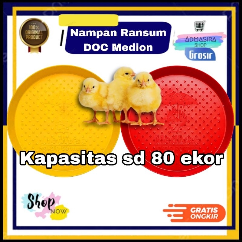 Doc Medion Chicken RANSUM TRAY Plate Feeder Chicken Feed Container ...