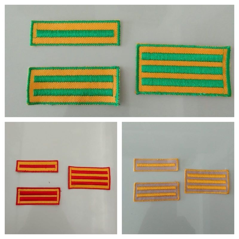 Position Marks for the Scout pinru squad, elementary school, middle ...
