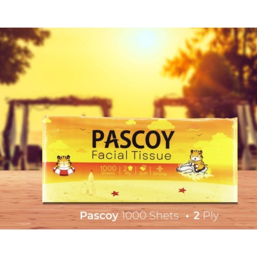 Pascoy Tissue 1000 Sheets 2 ply 100% Virgin Pulp | Tissue 1000 Sheets ...